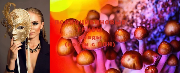 шишки Абдулино