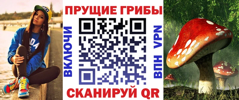 Псилоцибиновые грибы Psilocybine cubensis хочу Нижнекамск