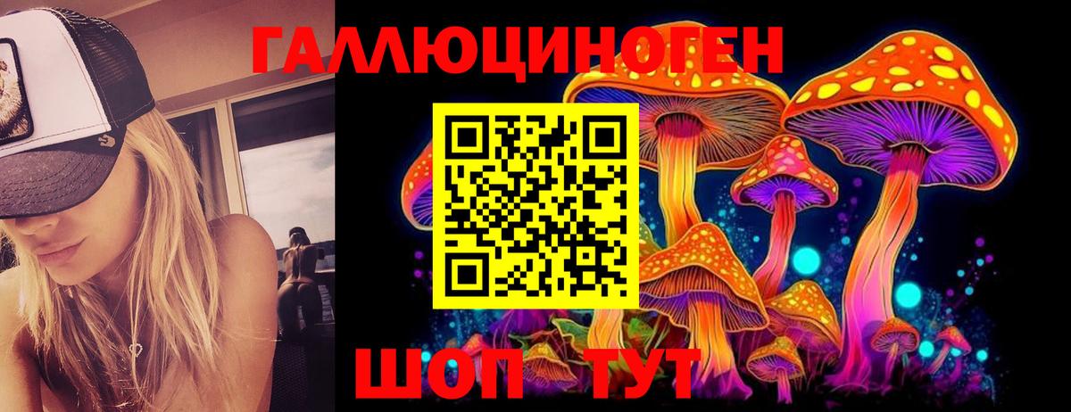 Псилоцибиновые грибы прущие грибы  Вход с VPN  Нижнекамск 